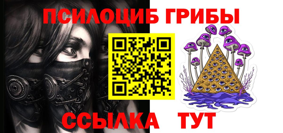 где можно купить наркотик  Вход с VPN  Берёзовский  Галлюциногенные грибы мицелий 